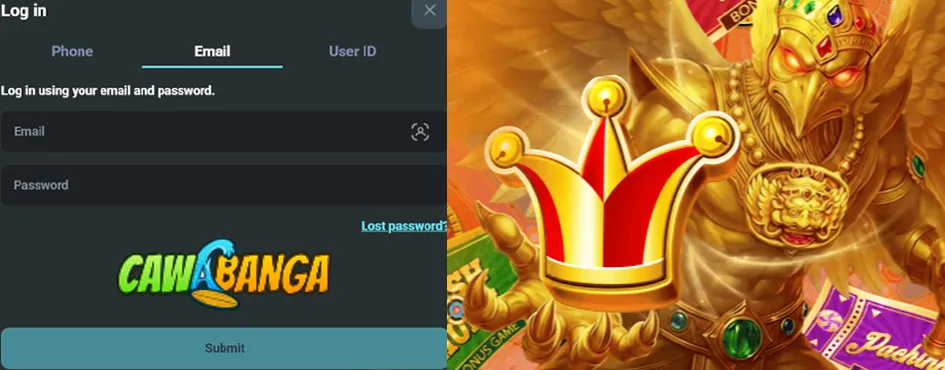 Step-by-Step Login Process